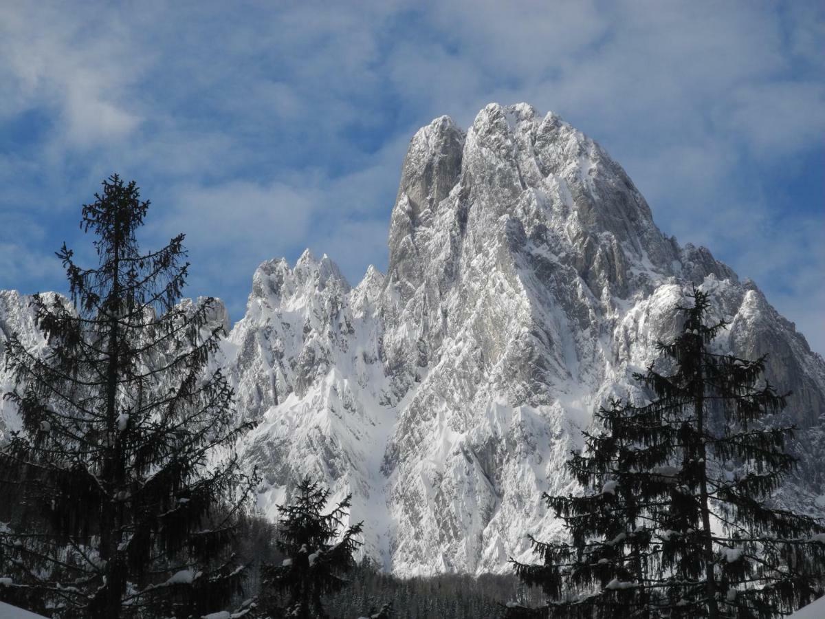 Апартаменты Pure Mountain Base Эрпфендорф Экстерьер фото